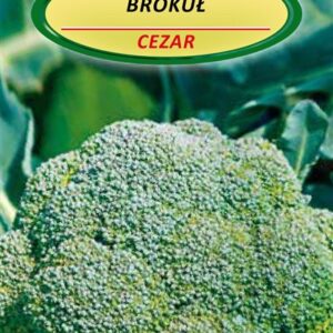 Sėklos daržovių brokoliai cezar
