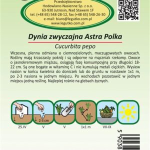Daržovių sėklos paprastasis moliūgas Astra Polka - Image 2