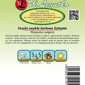 Šparaginių pupelių GALOPKA sėklos - Image 2
