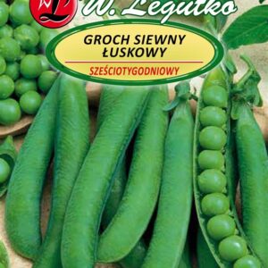Žirnių SZESCIOTYGODNIOWY sėklos