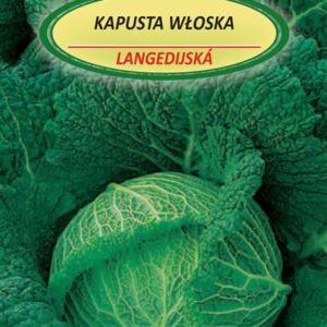 Savojinių kopūstų LANGEDIJSKA sėklos