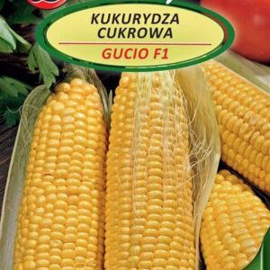 Kukurūzų GUCIO sėklos