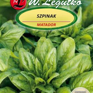 Daržinių špinatų MATADOR sėklos