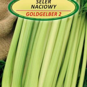 Daržo sėklos lapkotiniai Salierai Goldgelber 2