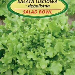 Daržo sėklos lapinės Salotos Salad Bowl