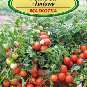 Pomidorų MASKOTKA sėklos - Image 1