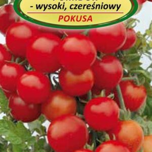 Pomidorų POKUSA sėklos
