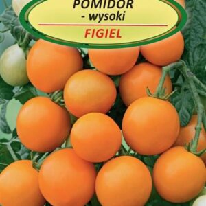 Pomidorų FIGIEL sėklos