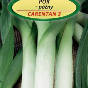Daržo sėklos Porai Carentan 3