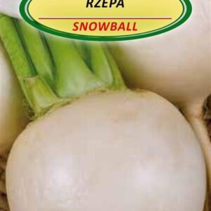 Ropių SNOWBALL sėklos