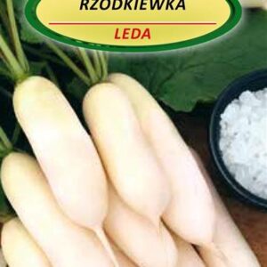 Ridikėlių LEDA sėklos