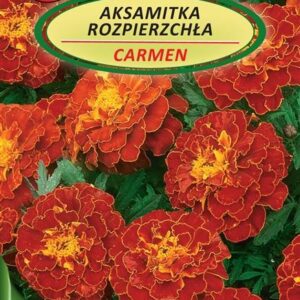 Didžiųjų pilnavidurių serenčių CARMEN sėklos