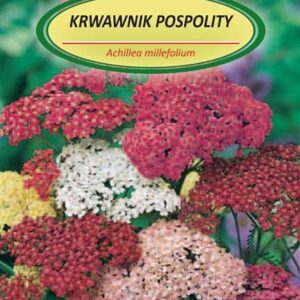 Gėlių sėklos Paprastoji Kraujažolė Mišinys - Image 1