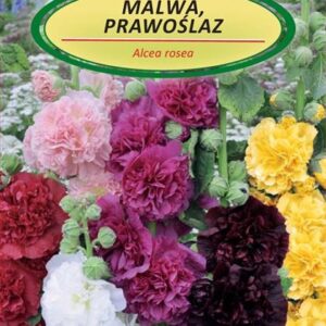 Sėklos gėlių piliarožės mišinys