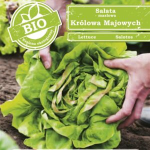 Sėjamųjų salotų KROLOWA MAJOWYCH sėklos