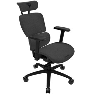 ThunderX3 XTC ergonominė ofiso kėdė - Loft Dark pilkos spalvos