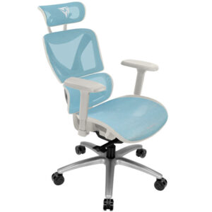 ThunderX3 XTC ergonominė ofiso kėdė - baltos spalvos/mėlynos spalvos