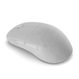 Endgame Gear XM2w 4k v2 žaidimų pelė - White Frost