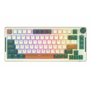 Royal Kludge RK H81 - US layout - Hot-Swappable Brown Switches - Timing Machine (Žalia) Belaidė Žaidimų Klaviatūra