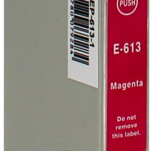 Epson spausdintuvo kasetė EP-613 | C13T06134010 / T0613