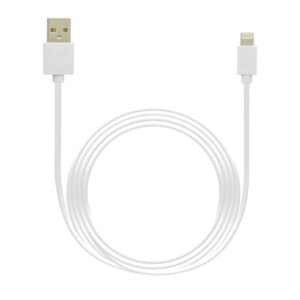 Grab 'n Go - kabelis Lightning į USB-A 3m (non MFi)