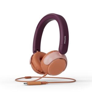 AUSINĖS LAIDINĖS TAK2000MP/00 PHILIPS