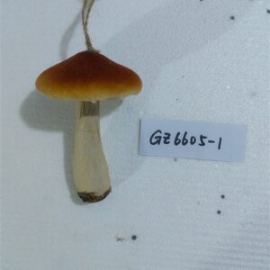 Eglutės žaisliukas Christmas Touch Mushroom, 13 cm