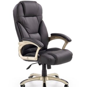 Vadovo kėdė Desmond, 70 x 67 x 112 - 119 cm, juoda