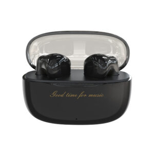 Dudao U8 TWS Wireless In-Ear ausinės - juodos spalvos