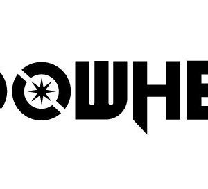 Motor for Koowheel E1