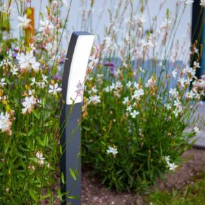 Šviestuvas Lutec KIRA 7288902118, 18W, LED, IP54, antracito - Image 2