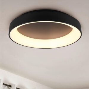 Šviestuvas Trio GIRONA, plafonas, 48 W, LED - Image 3