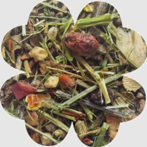 Alegia Enjoy šinšiloms maistas 400g - Image 2