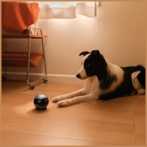 Intelligent companion robot ENABOT   EBO Air2 baltos spalvos - Image 7