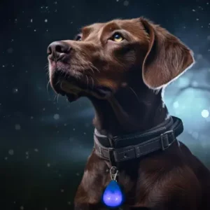 LED antkaklis žalias L 70cm - Image 3