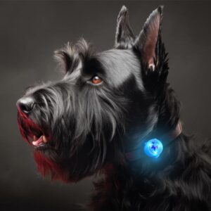 LED šviečiantis pakabukas silikoninis mėlynas - Image 2