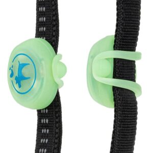 LED šviečiantis pakabukas silikoninis žalias - Image 4