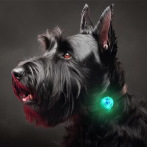 LED šviečiantis pakabukas silikoninis žalias - Image 3