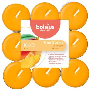 Žvakė, aromatinė Bolsius Mango, 4 h, 18 vnt., Oranžinė