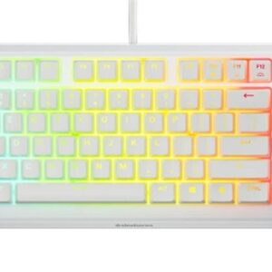 Klaviatūra Steelseries Apex 3 TKL, Anglų (US), balta