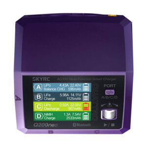 Charger SkyRC Q200neo - Image 2