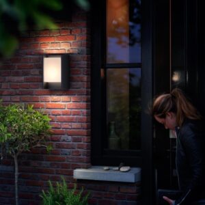 Tvirtinamas šviestuvas Philips 164609316 Arbour 1X6,5W LED - Image 2