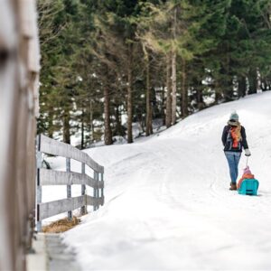 Plastikinės rogės Baby rider 4110418108 - Image 3