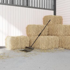 vidaXL Šakių kotas, juodos spalvos, 3,5x127,5cm, plienas 172482 - Image 2