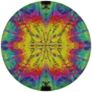 Waboba Wingman Pro silicone disc frisbee 20cm - Image 2