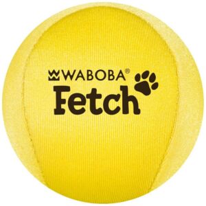 Waboba Fetch dog ball
