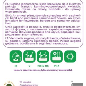 Sėklos lobelija RED, 0.1 g - Image 2