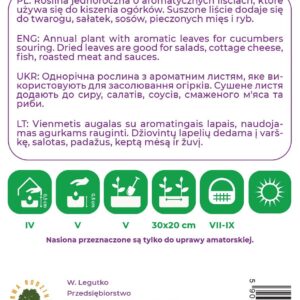 Sėklos kvapnusis bazilikas GREEN, 1 g - Image 2