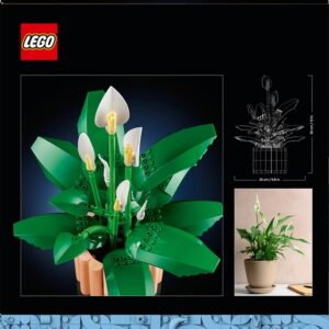 Konstruktorius LEGO® Botanicals 11504 - Image 2