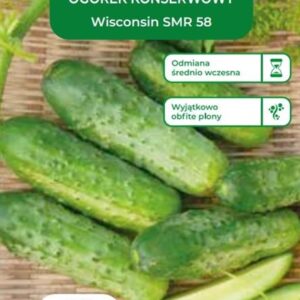 Sėklos, agurkai WISCONSIN SMR 58, 5 g
